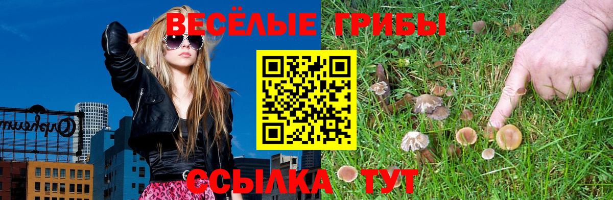 Галлюциногенные грибы ЛСД  Вход с VPN  продажа наркотиков  Нефтеюганск  Псилоцибиновые грибы Psilocybe 